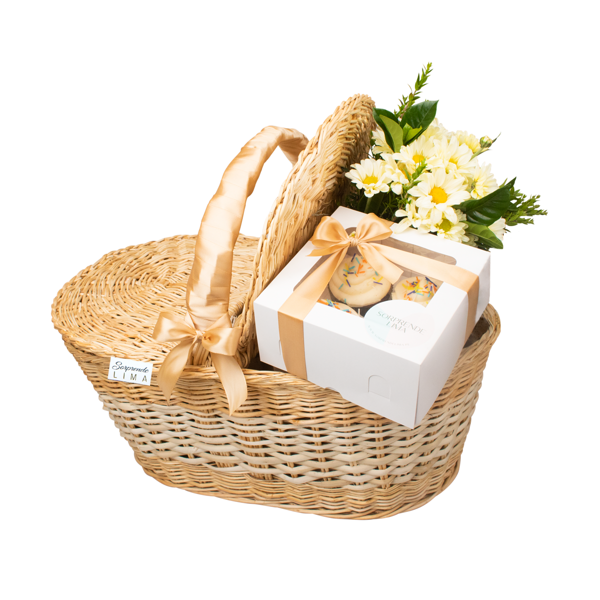 Picnic Para 4
