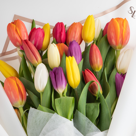 Ramo 25 Tulipanes Premium