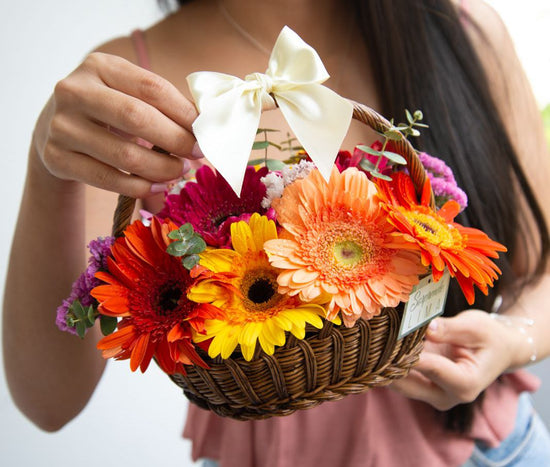 Mini Gerberas Basket