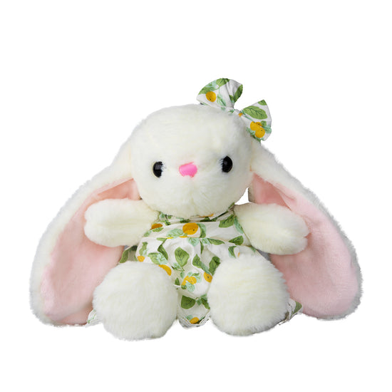 Teddy Conejita hipoalergénica