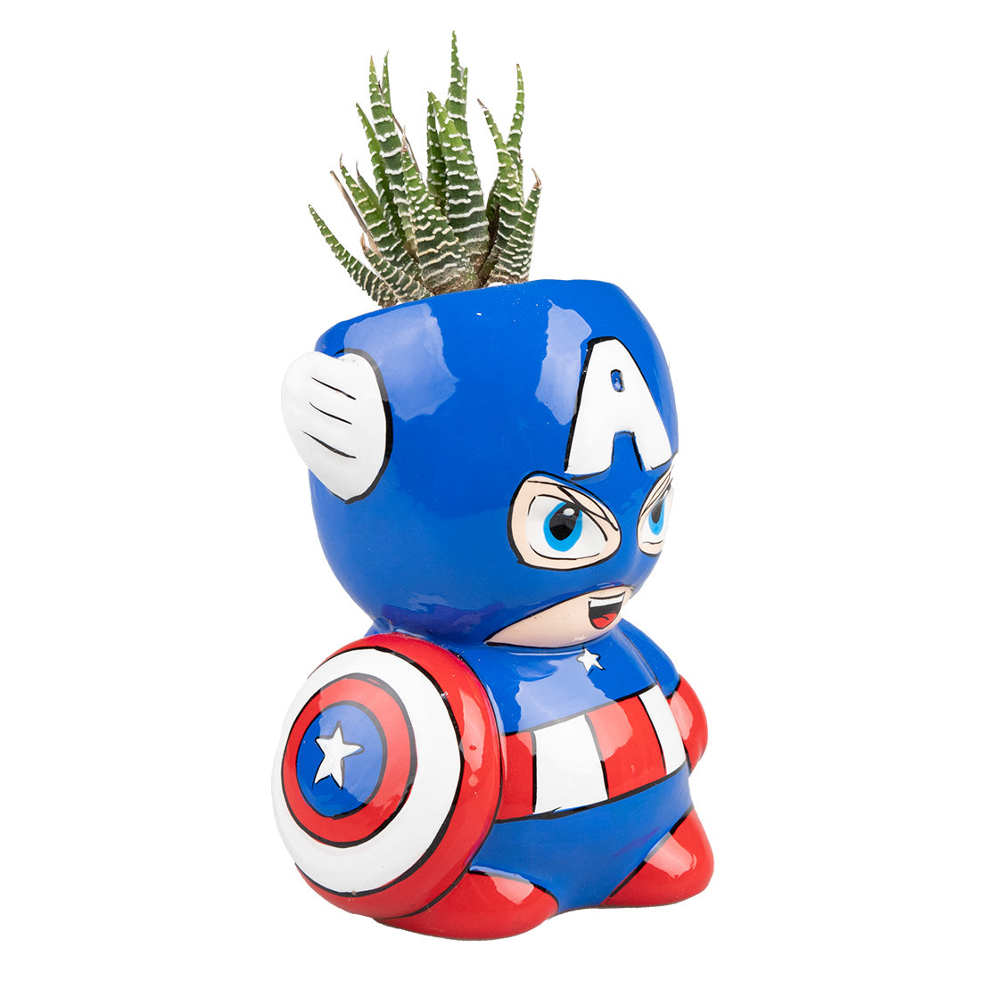 Suculenta Capitan America