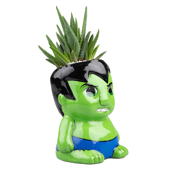 Suculenta Hulk