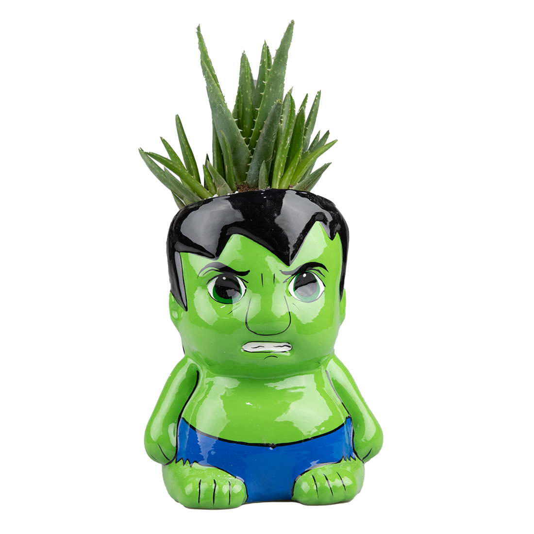 Suculenta Hulk