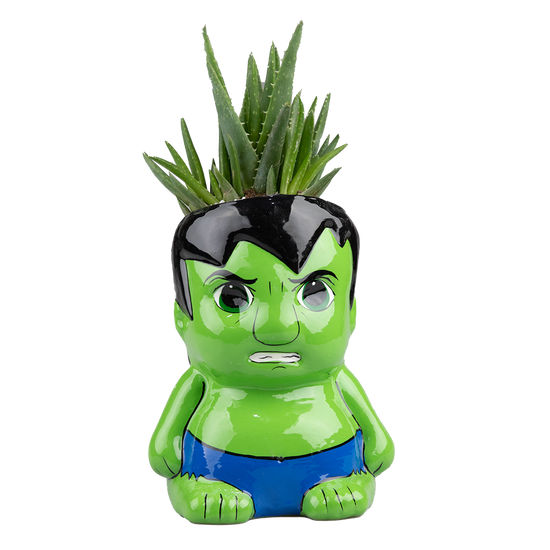 Suculenta Hulk