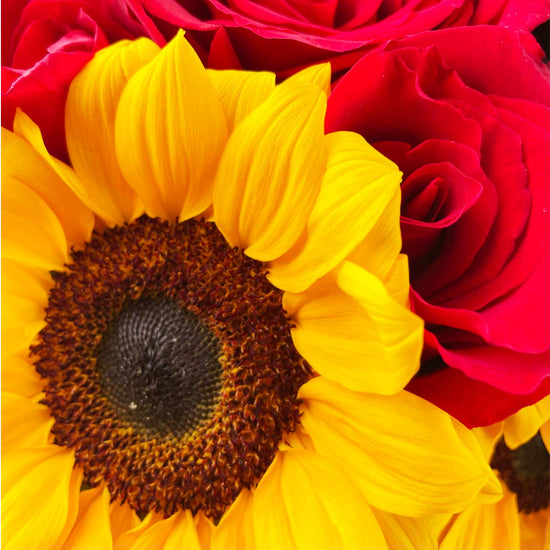 Florero Amelia Rosas y Girasoles