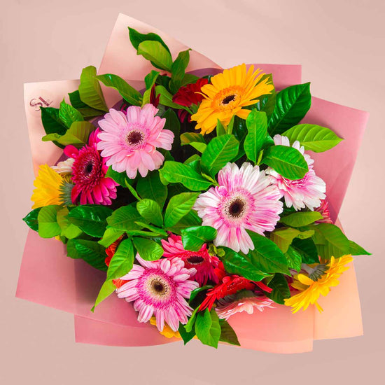 Ramo Gerberas Premium