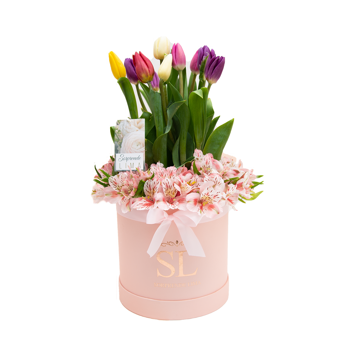 Box Tulips & Astromelies