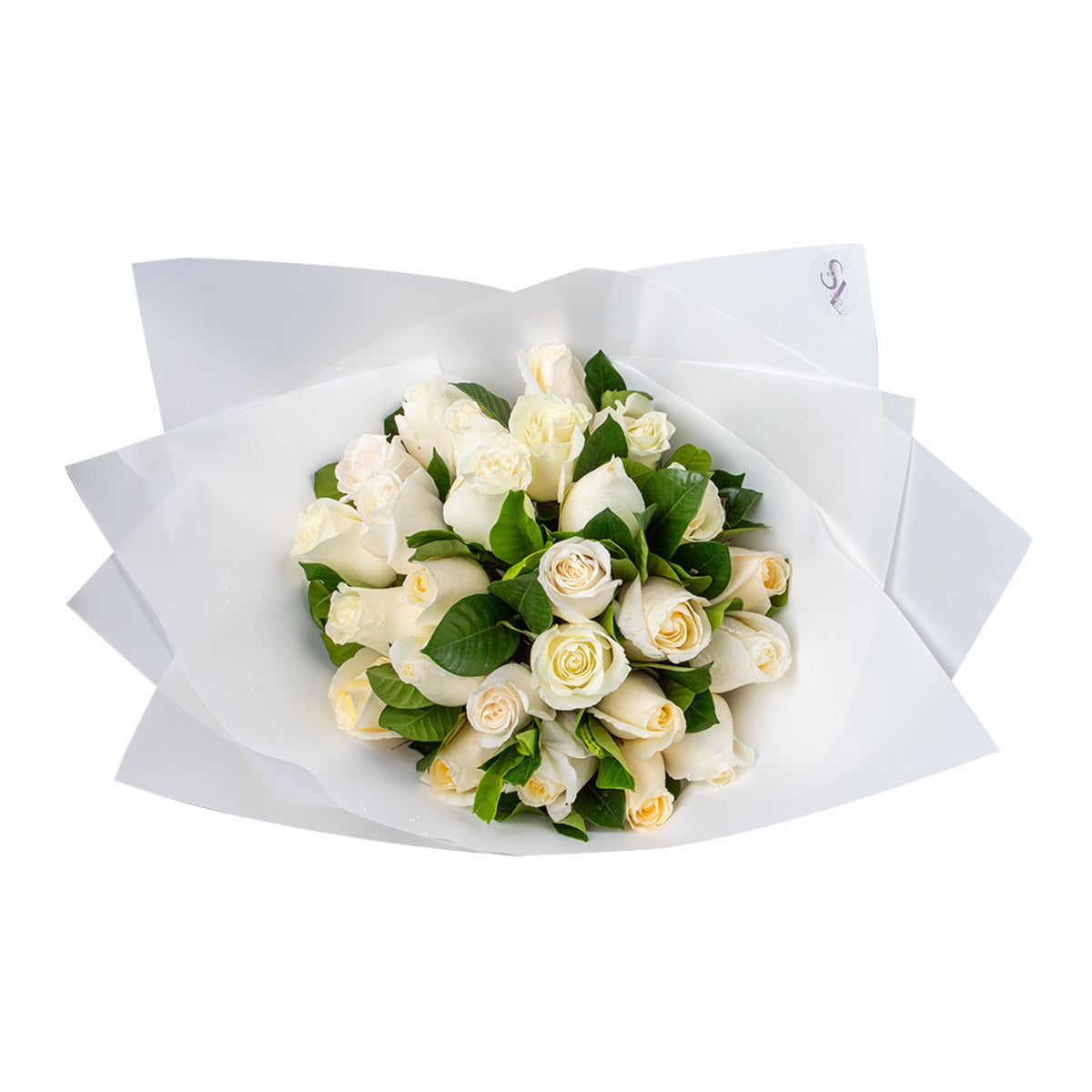 Ramo Blanca Premium